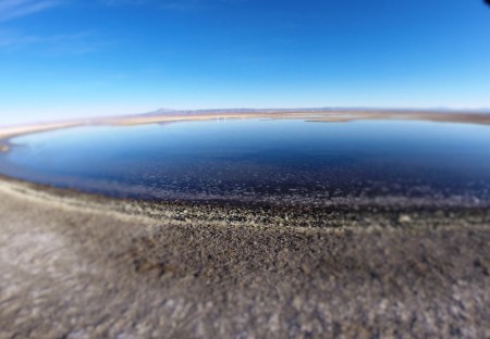 Laguna Chaxa - San Pedro de Atacama